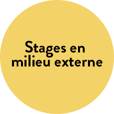 Stages en  milieu externe