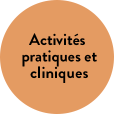 Activités pratiques et cliniques