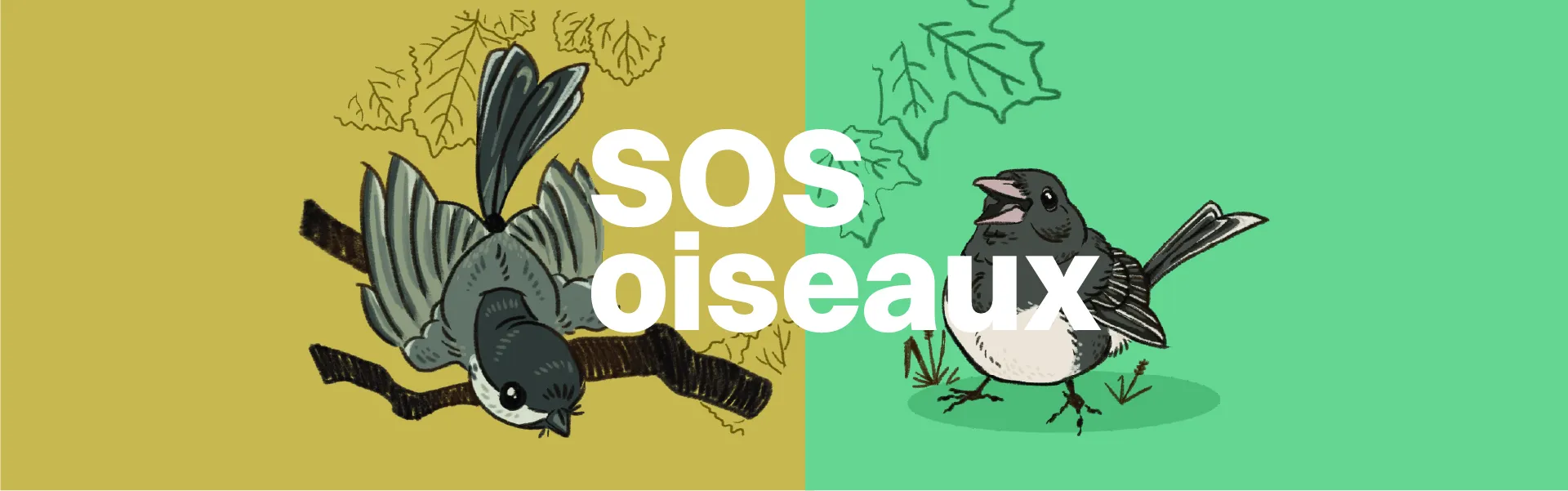 SOS oiseaux
